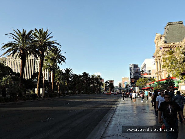 photo 1236708