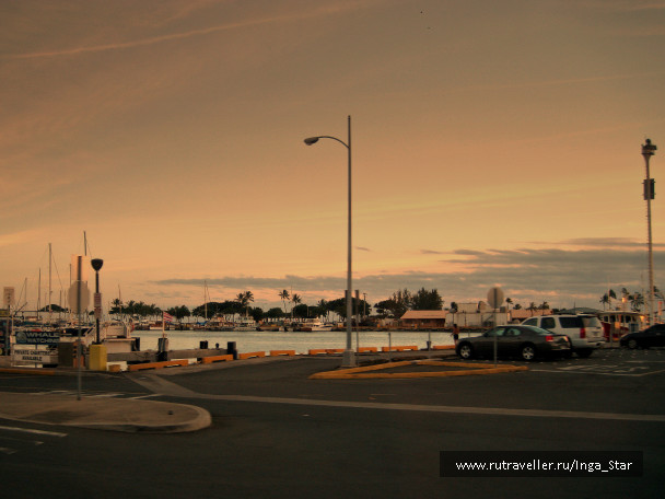 photo 1397264