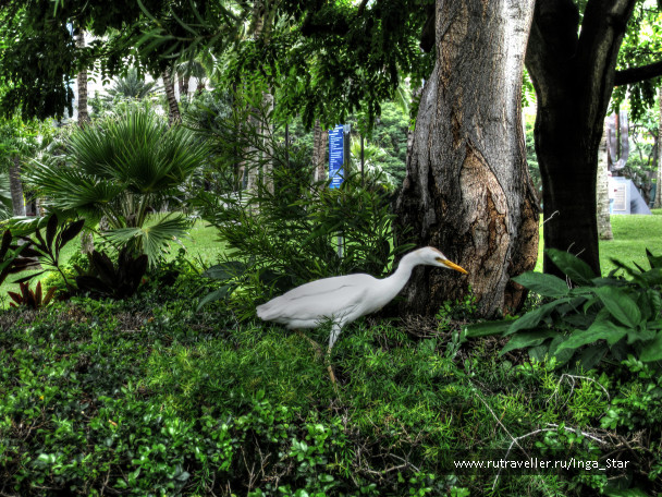 photo 1397645
