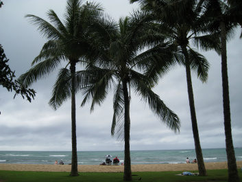 photo 250724
