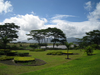 photo 329715