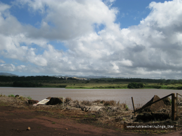 photo 329716