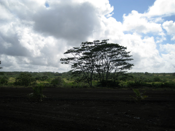 photo 329717