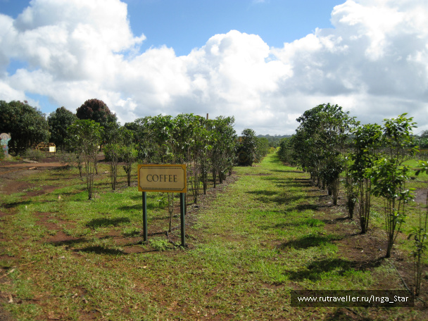 photo 329719