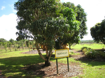 photo 329720