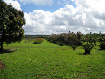 photo 329722