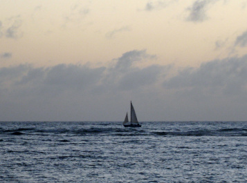 photo 330096