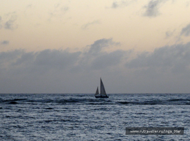 photo 330096