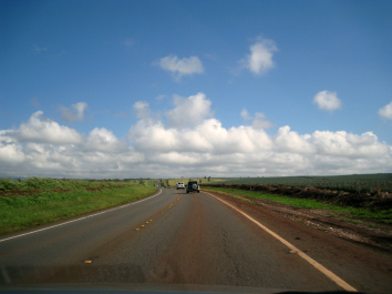 photo 330098