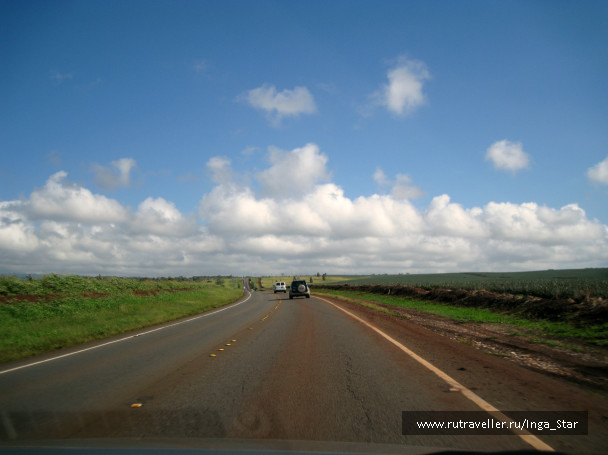 photo 330098