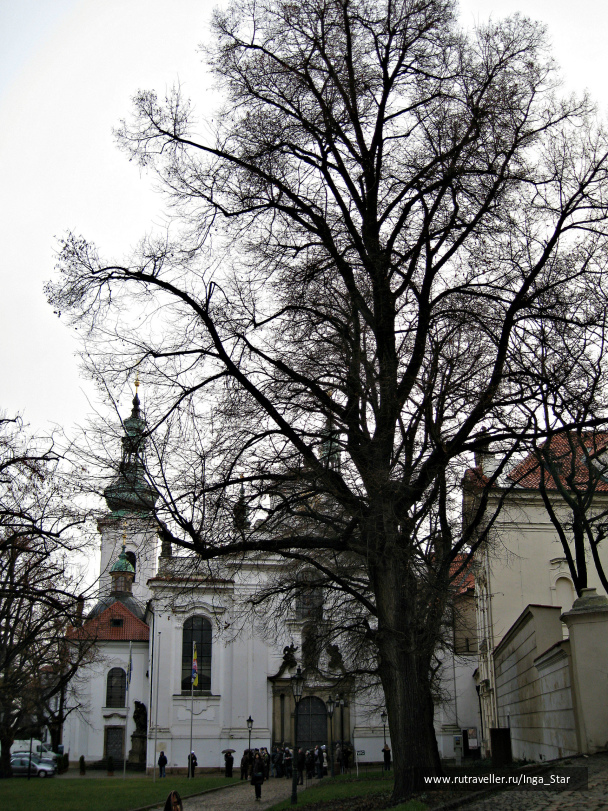 photo 1246197