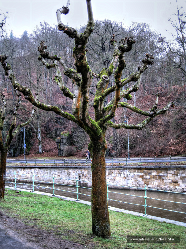 photo 1246221
