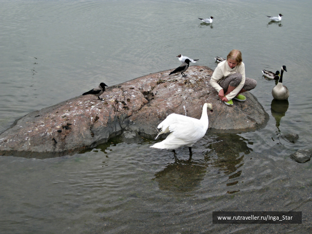 photo 1262423