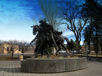 photo 41765
