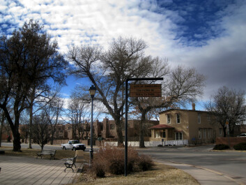 photo 41766