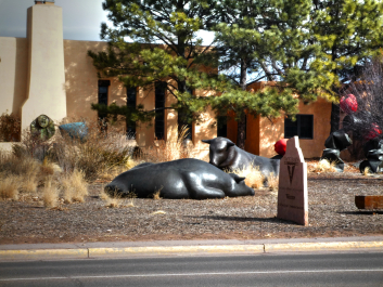 photo 699426