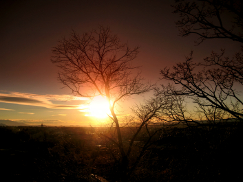 photo 699431