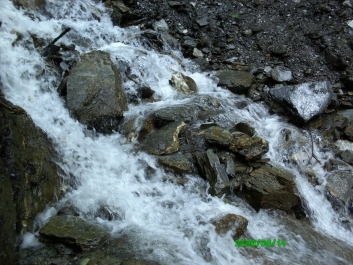photo 798065