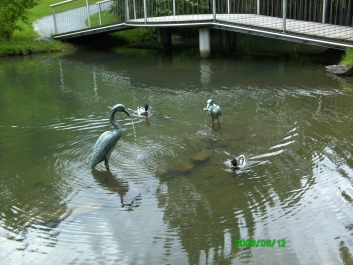 photo 798067