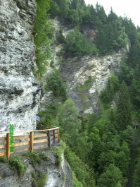 photo 798091