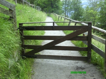 photo 798093