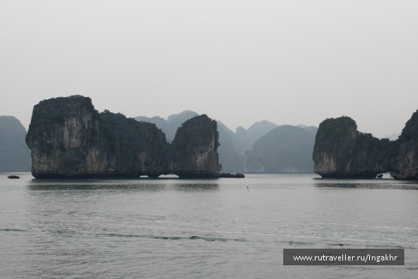 photo 804543