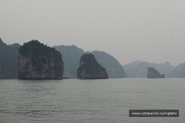 photo 804560