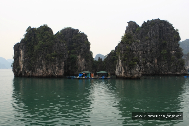 photo 804568