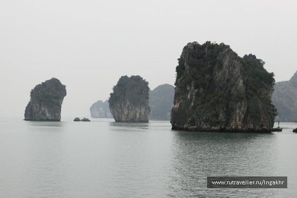 photo 804569