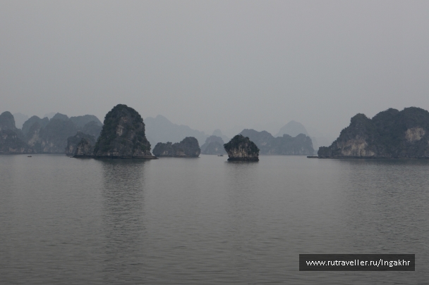 photo 804611