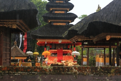 photo 804739