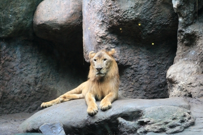 photo 804755