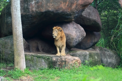 photo 804758