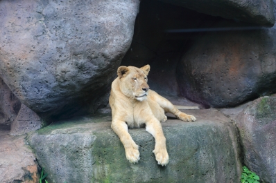 photo 804763