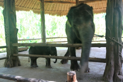 photo 804767