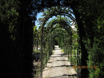 photo 807824