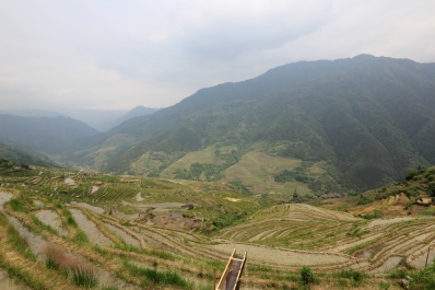 photo 811729