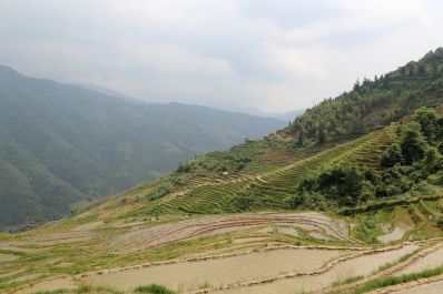 photo 811731