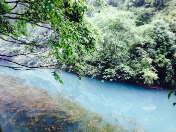 photo 811818
