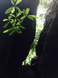photo 811821
