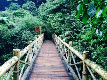photo 811833