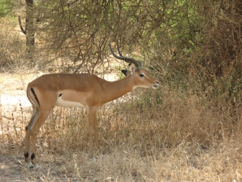 photo 814521
