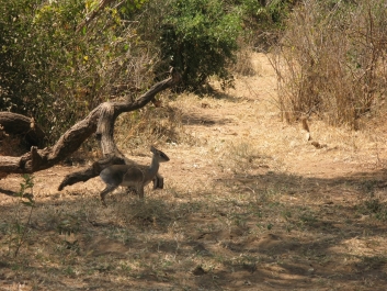 photo 814522