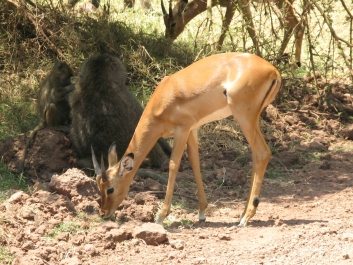 photo 814524