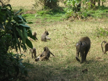 photo 814525