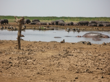 photo 814527