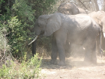 photo 814531