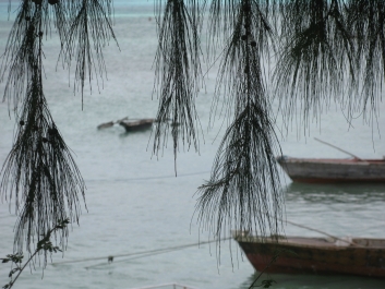 photo 814739