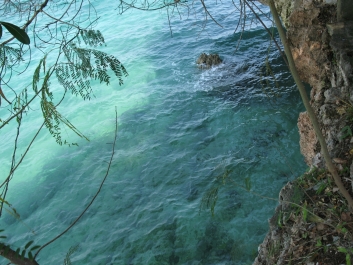 photo 814742