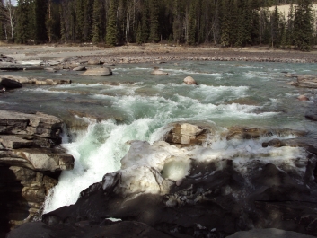 photo 819160